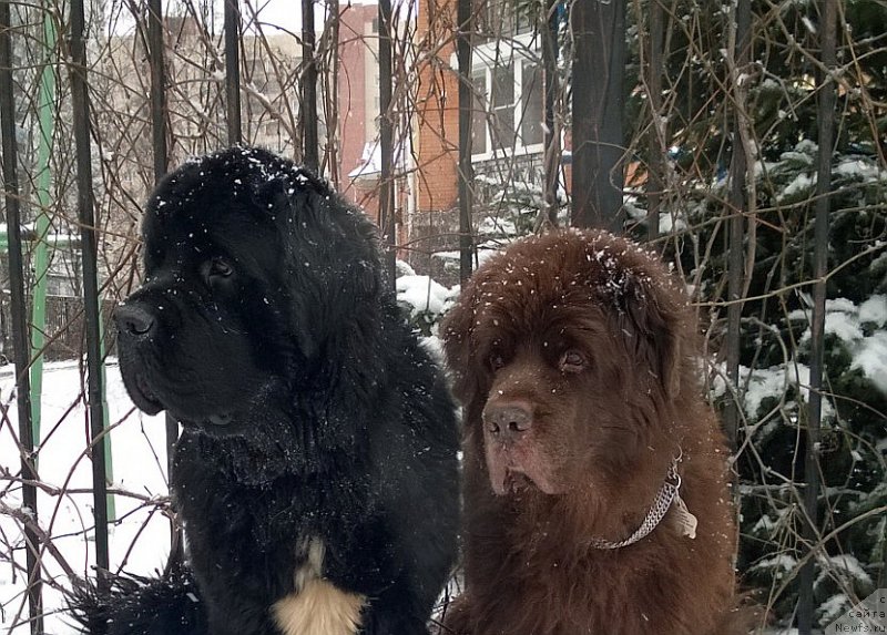 Фотография № 198521