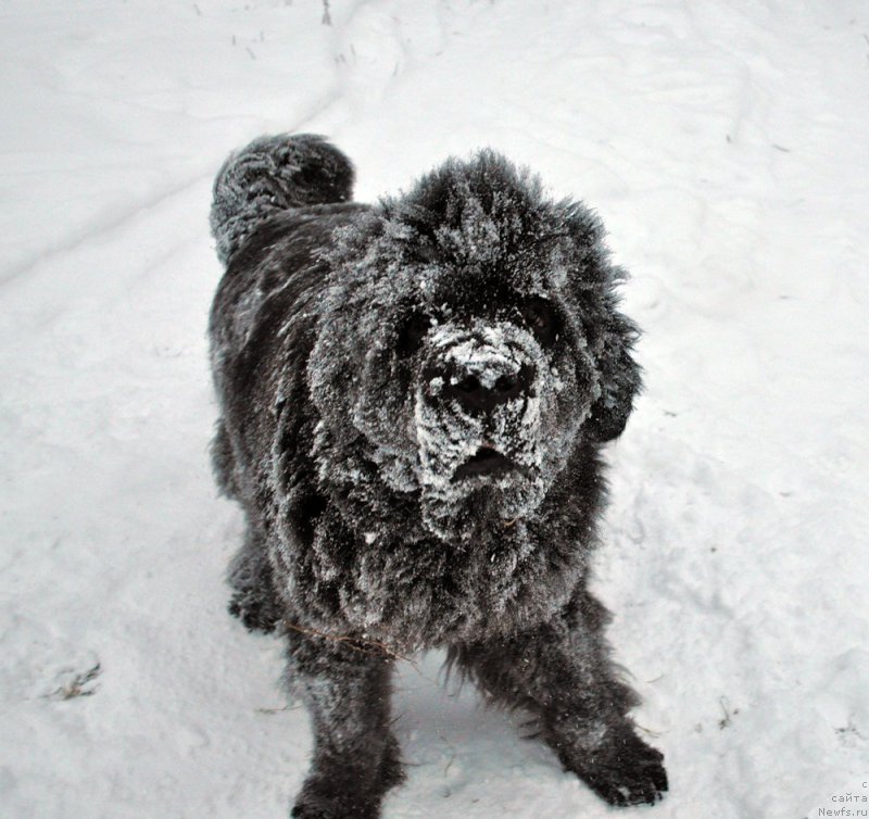 Фотография № 198523