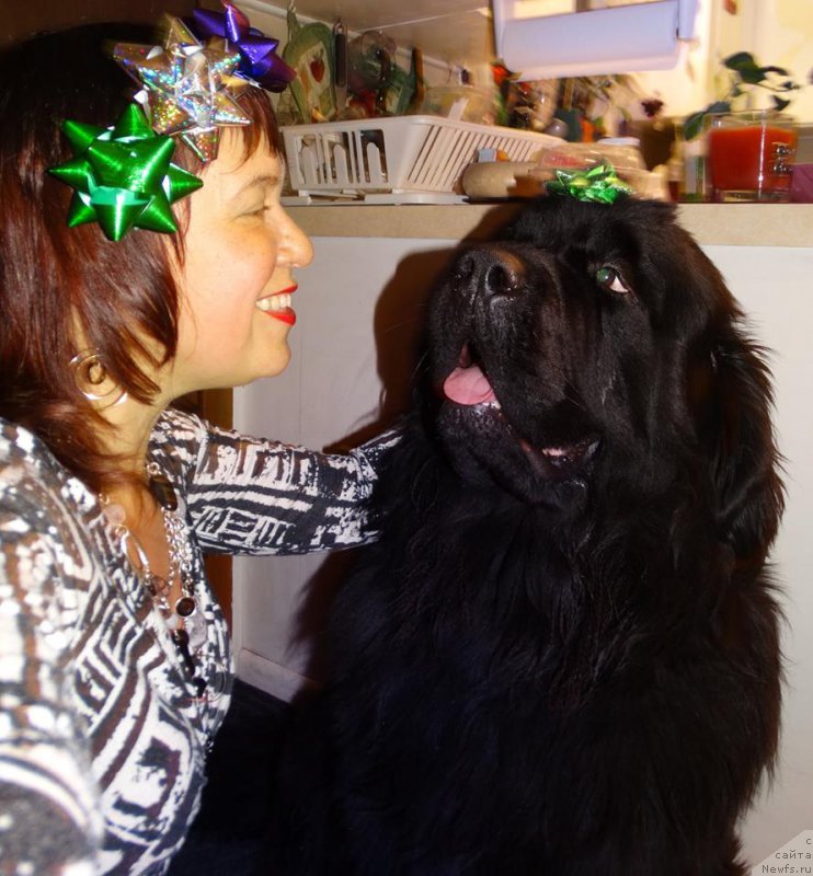 Фотография № 198524