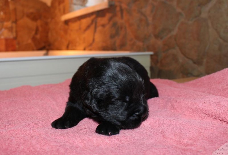 Фотография № 198528