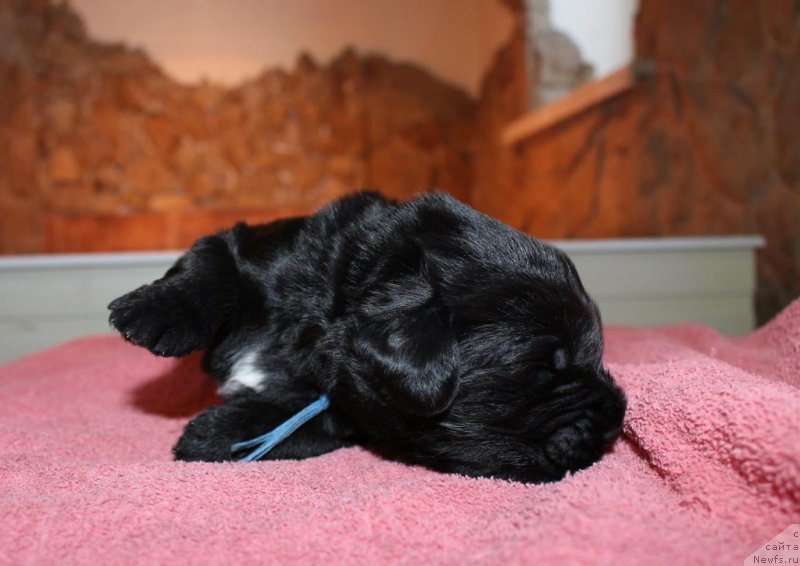 Фотография № 198532