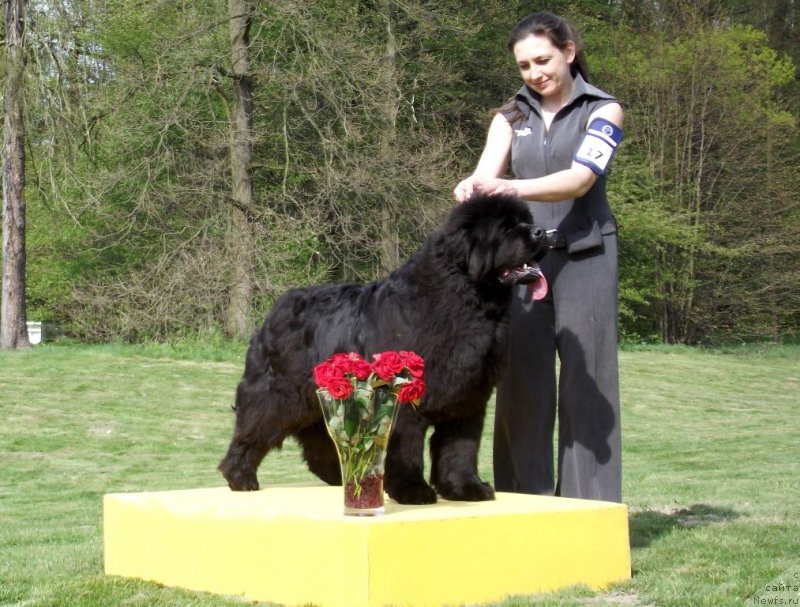 Фотография № 198541