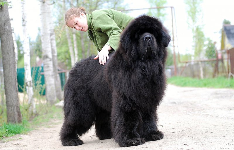 Фотография № 198544