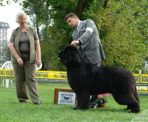 Фотография № 198545