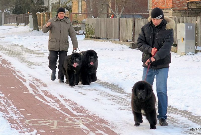 Фотография № 198548