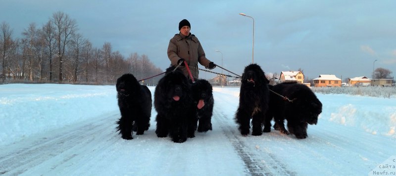 Фотография № 198549