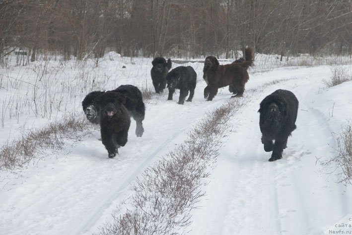 Фотография № 198552