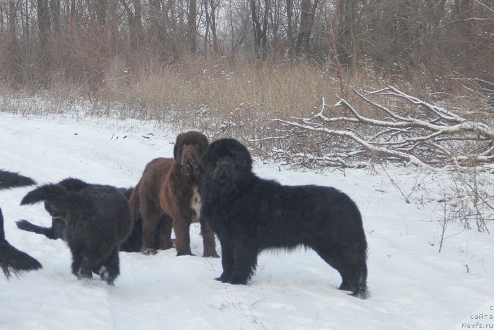 Фотография № 198553