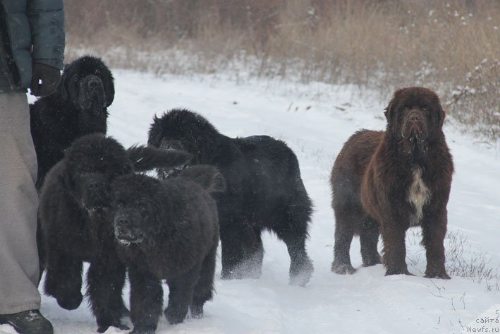 Фотография № 198554