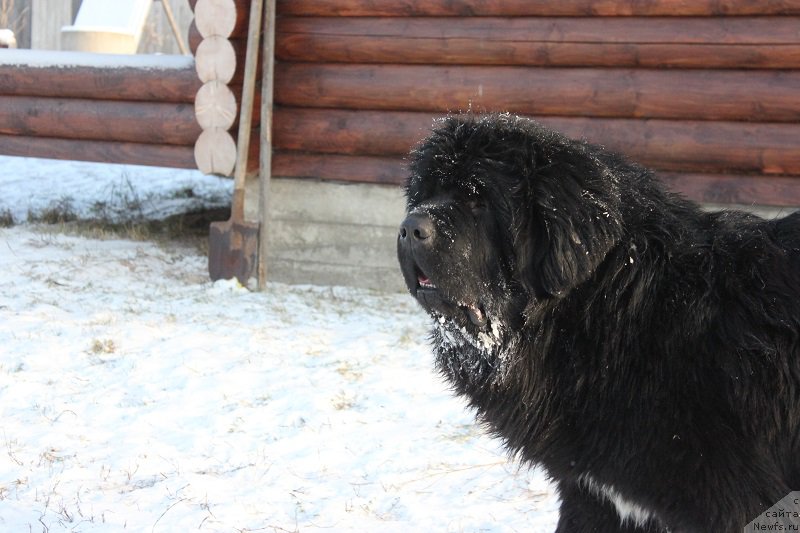 Фотография № 198556