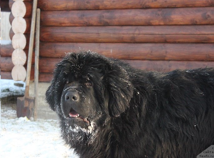 Фотография № 198558