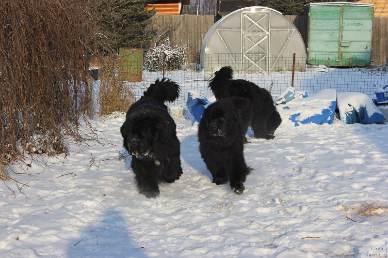 Фотография № 198559