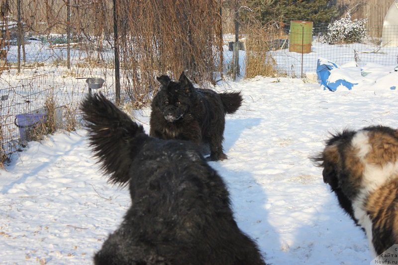 Фотография № 198562