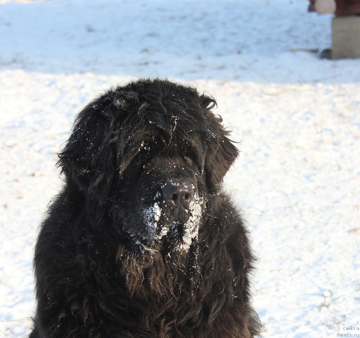 Фотография № 198571