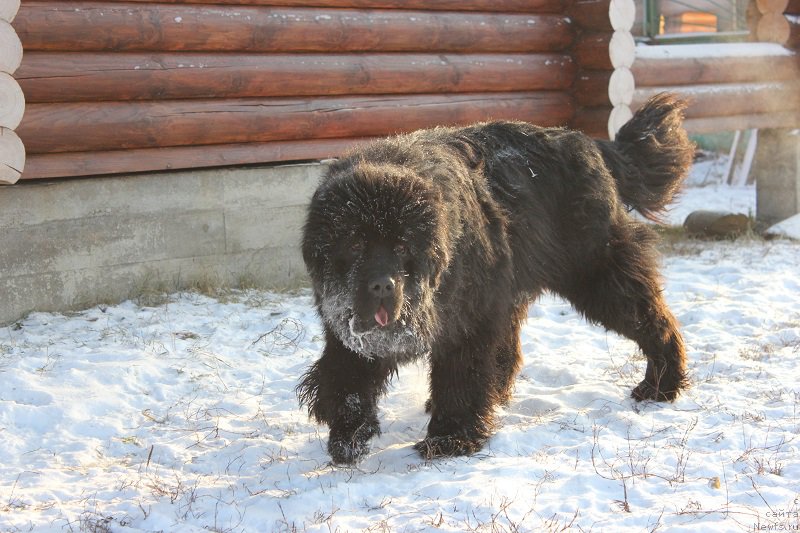 Фотография № 198572