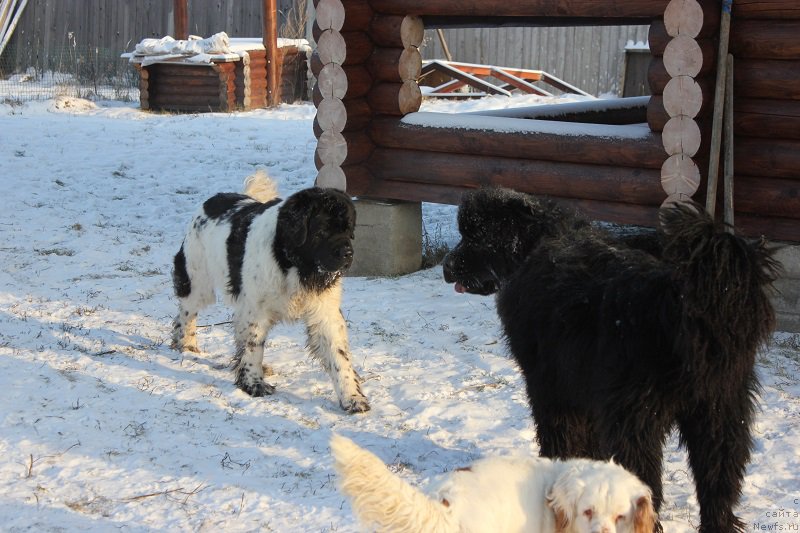 Фотография № 198574