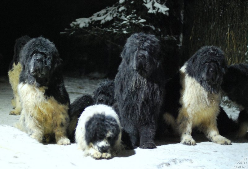 Фотография № 198596