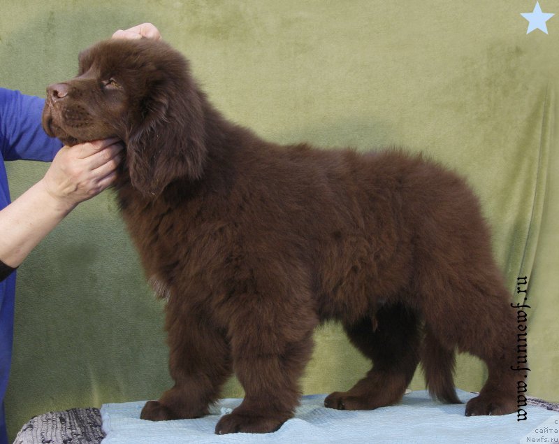 Фотография № 198600