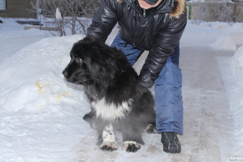 Фотография № 198611