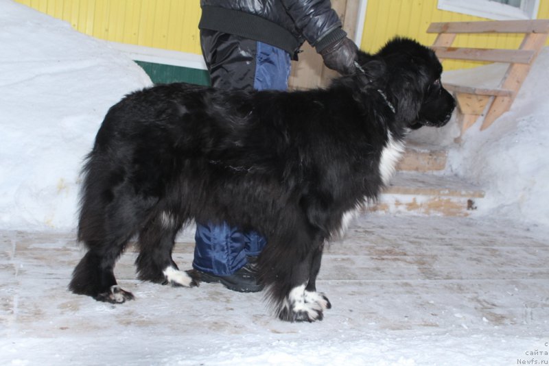 Фотография № 198612