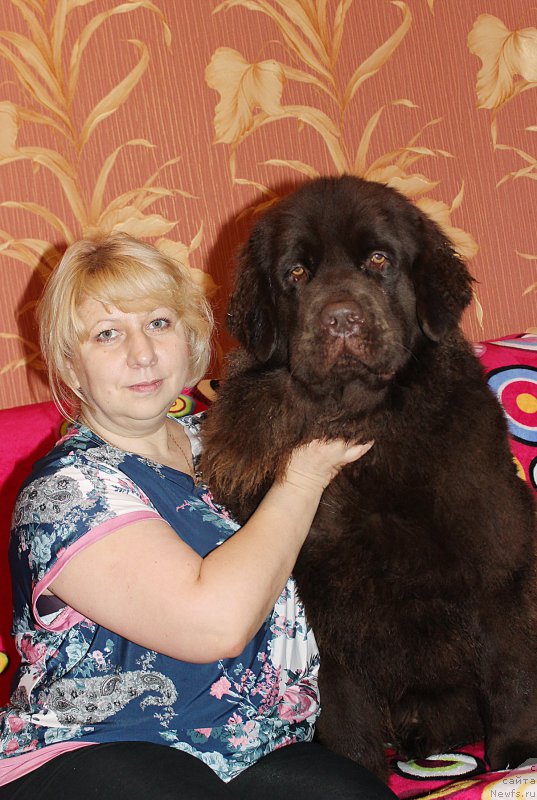 Фотография № 198615