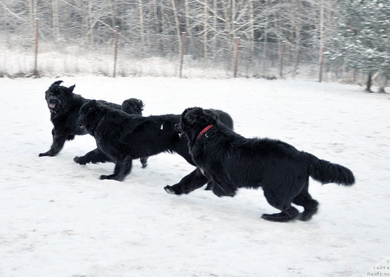 Фотография № 198617