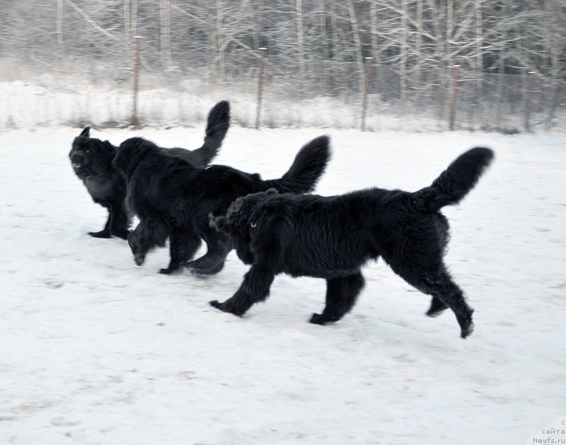 Фотография № 198618