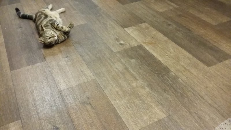 Фотография № 198623