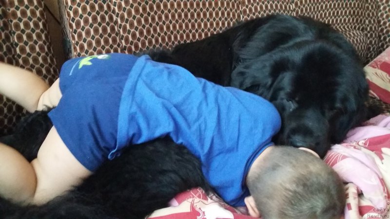 Фотография № 198624