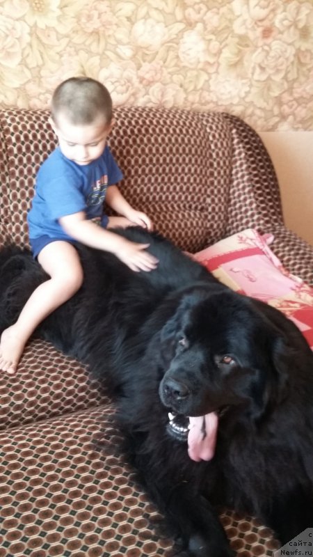 Фотография № 198626