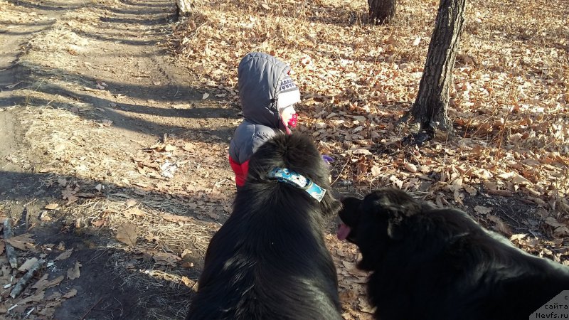 Фотография № 198632