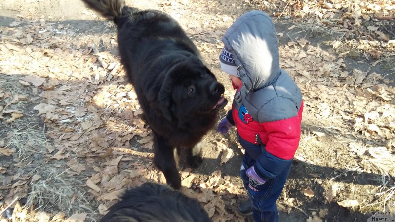 Фотография № 198634