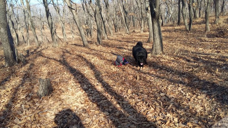 Фотография № 198635