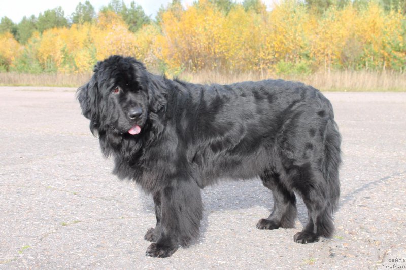 Фотография № 198658