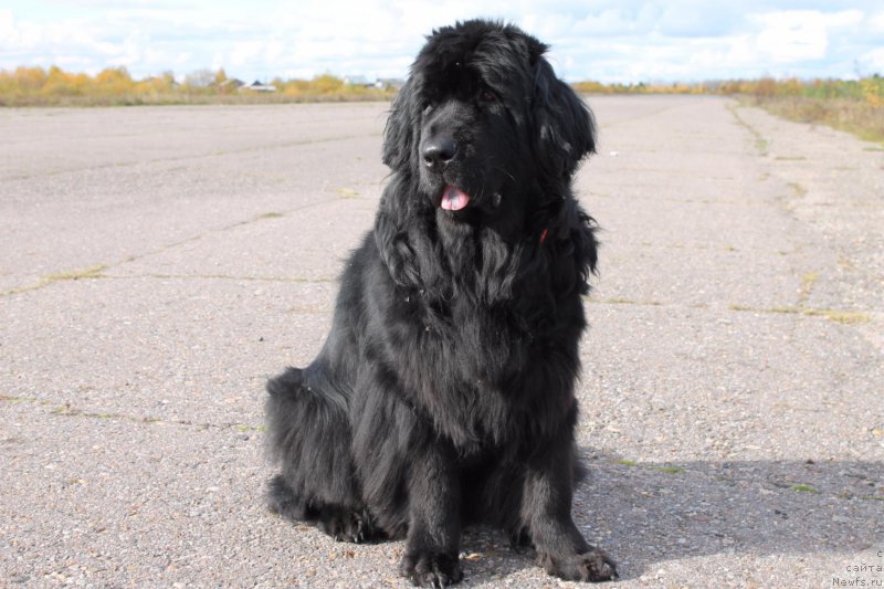 Фотография № 198664