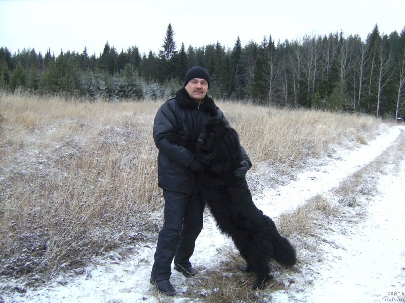 Фото: ньюфаундленд Ямайка Песня Любви