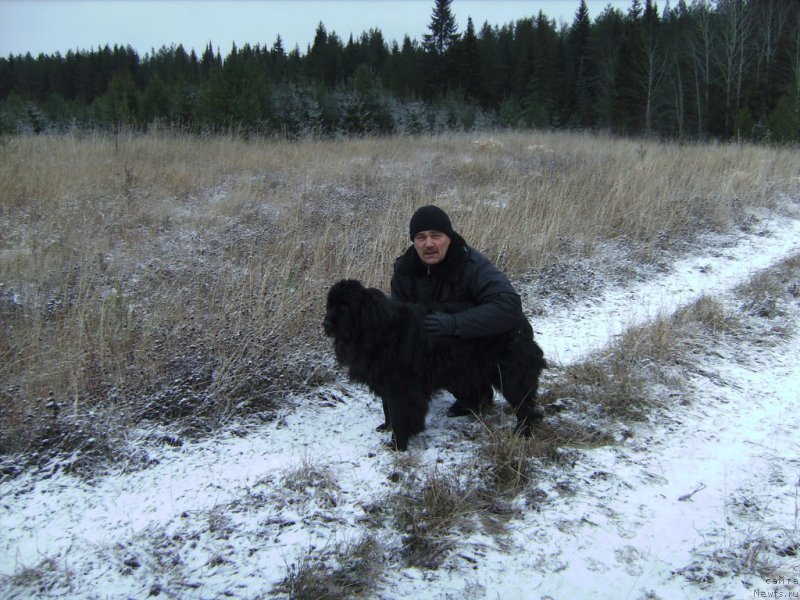 Фото: ньюфаундленд Ямайка Песня Любви