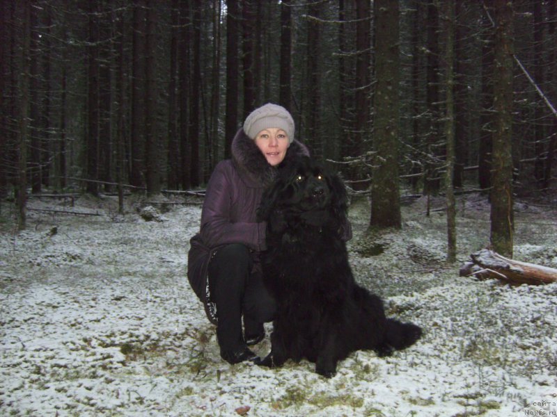 Фото: ньюфаундленд Ямайка Песня Любви