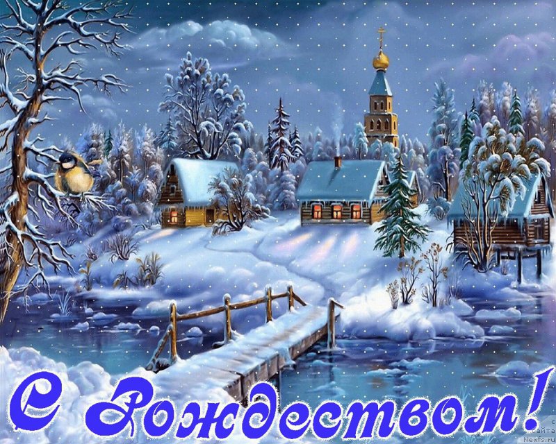 Фотография № 198669