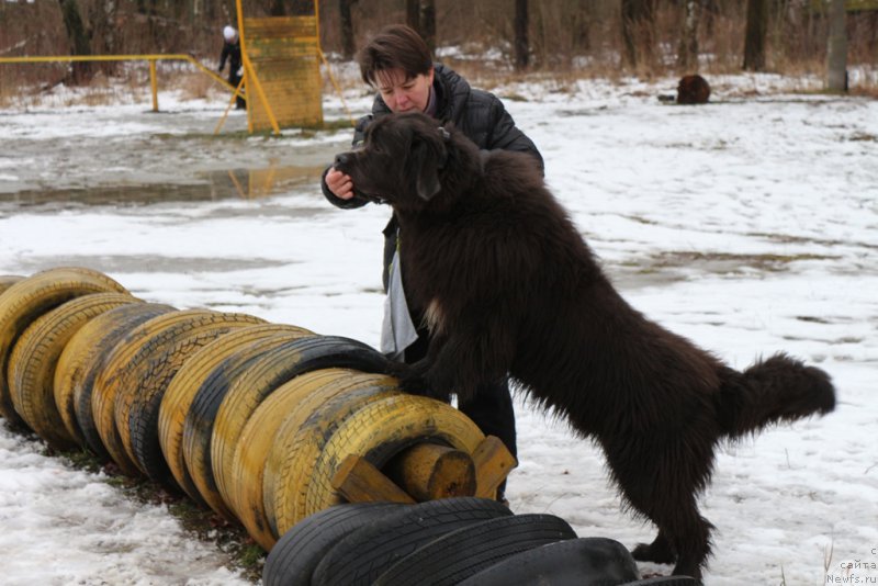 Фотография № 198670