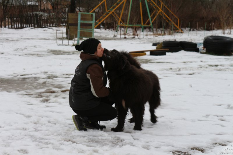 Фотография № 198671