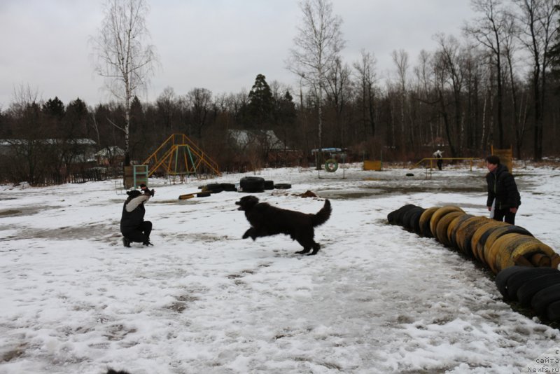 Фотография № 198672