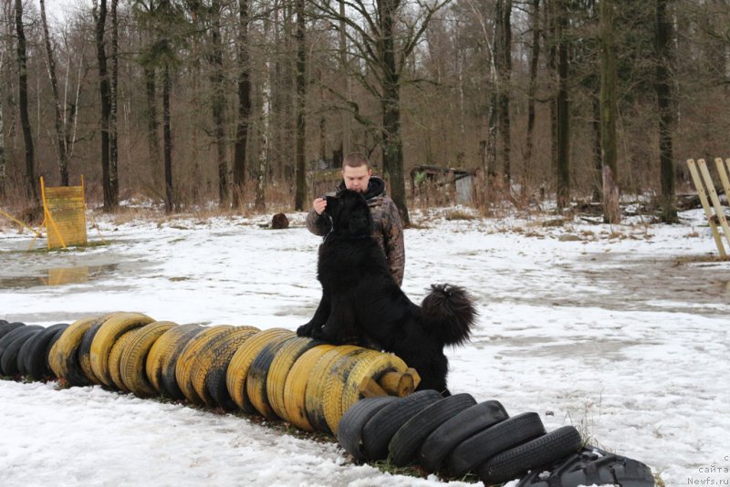 Фотография № 198675