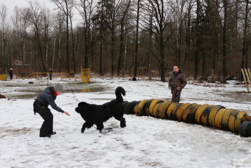 Фотография № 198676