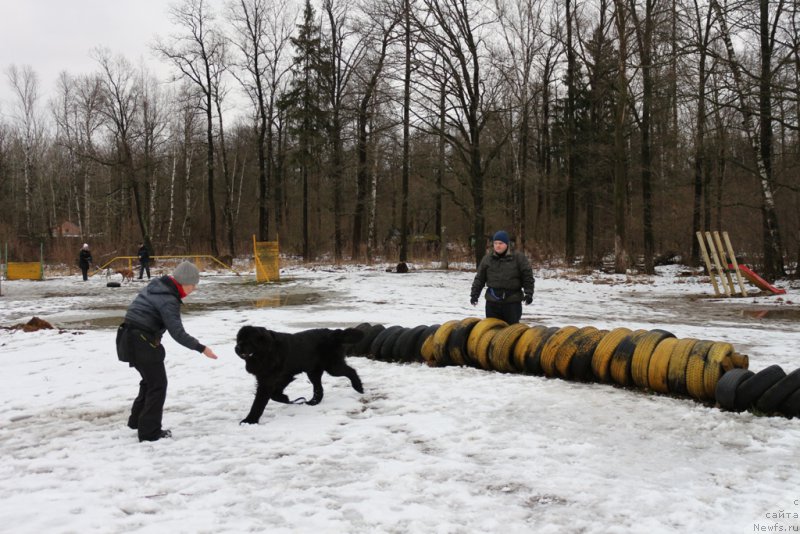 Фотография № 198678