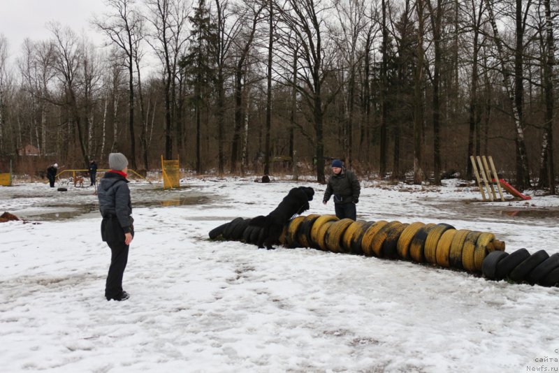 Фотография № 198679