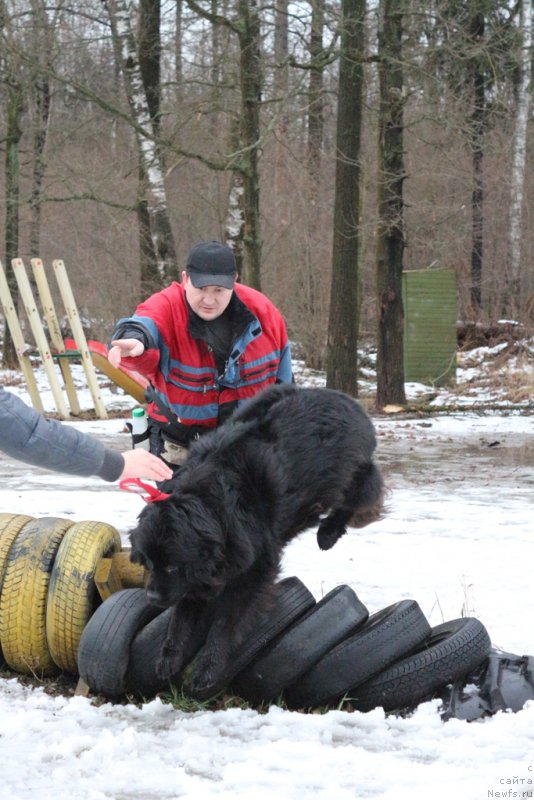 Фотография № 198680