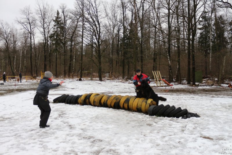 Фотография № 198681