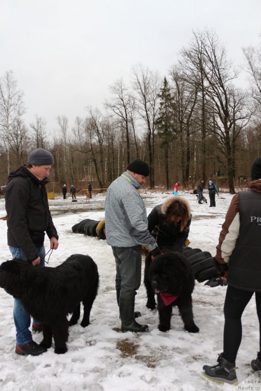 Фотография № 198682