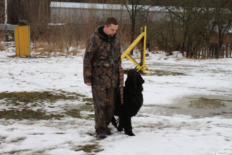 Фотография № 198684